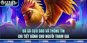 Đá Gà Cựa Dao Và Thông Tin Chi Tiết Dành Cho Người Tham Gia